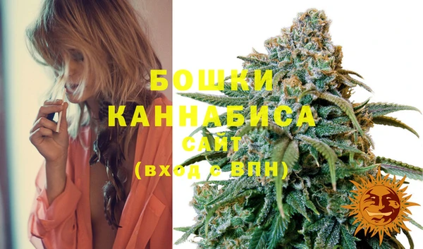 эйфоретик Белокуриха