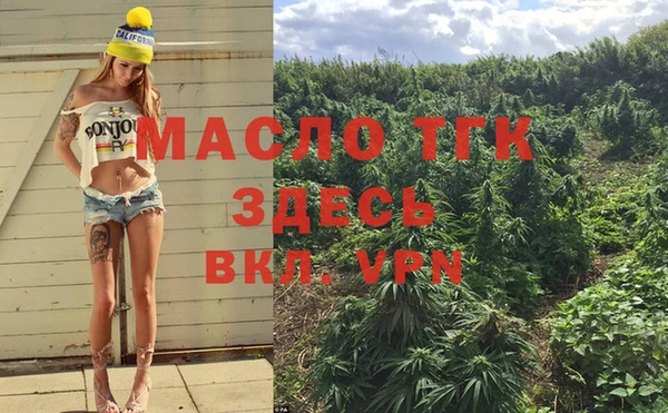 эйфоретик Белокуриха