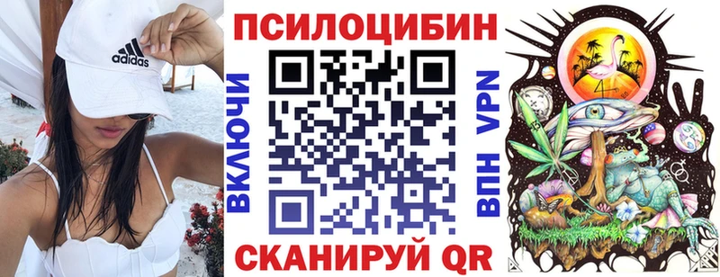 Галлюциногенные грибы Psilocybine cubensis  darknet официальный сайт  Великий Устюг 